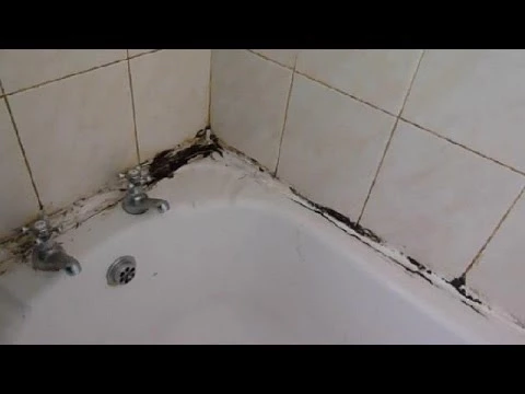 How to clean the grout between your wall tiles and revamp mouldy mastic.
