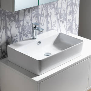 Cornell-550-x-420-Basin