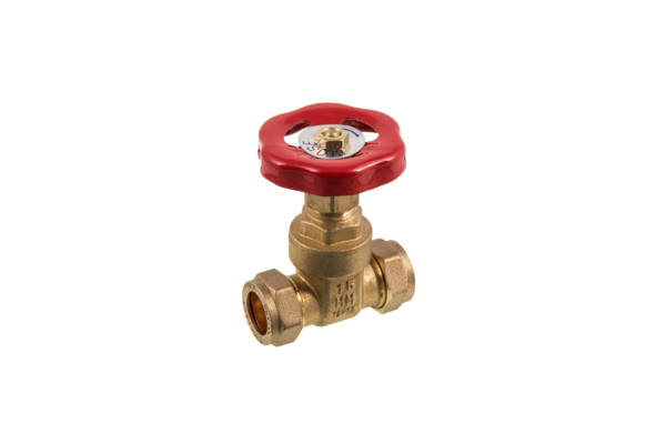 22Mm Brass Cxc Gatevalve