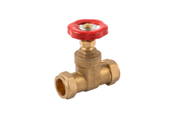 15Mm Dzr Cxc Bs Gatevalve