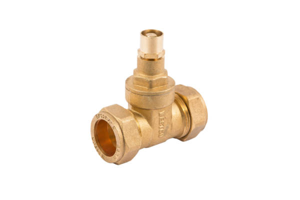 22Mm Brass Cxc Gatevalve L/S