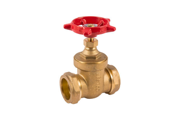 54Mm Cxc Bs Dzr Gatevalve Pn20
