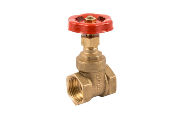 2" Brass Gatevalve Fxf
