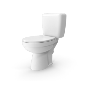 Toilet-Plumleys
